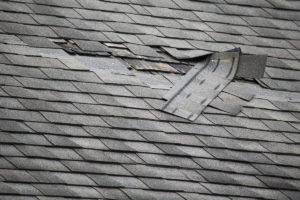 Tampa Property Lawyer